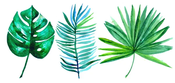 Ručně Namalované Zelené Tropické Listy Akvarel Svatební Přání Prodej Monstera — Stock fotografie