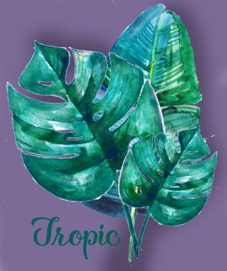 el boyaması yeşil tropikal yaprakları, suluboya tropikal, düğün kartı, satış alay. monstera, muz yaprağı, palmiye yaprağı
