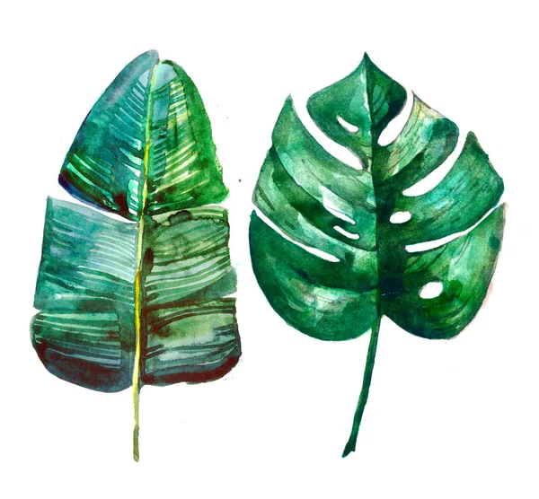 Folhas Tropicais Verdes Pintadas Mão Aquarela Tropical Cartão Casamento Venda — Fotografia de Stock