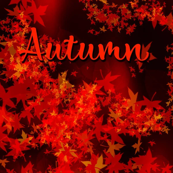 正方形の赤と青の背景 秋の葉と広告モックアップテンプレート 日付を保存 結婚式のカード 販売モックアップ 秋のハロウィーン — ストック写真