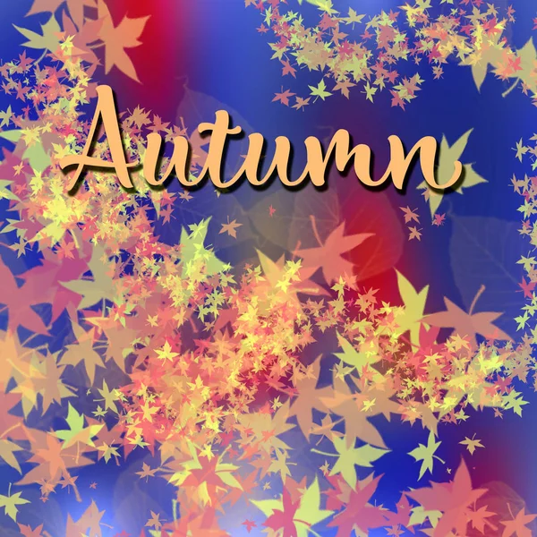 Quadratischer Roter Und Blauer Hintergrund Werbe Attrappe Mit Herbstblättern Speichern — Stockfoto