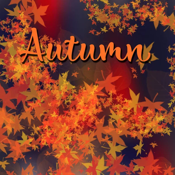 Square Red Blue Background Advertising Mock Template Autumn Leaves Date — Stock Photo, Image