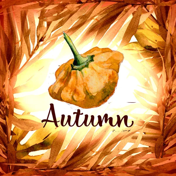 Čtvercový Podzim Akvarel Pozadí Modelovat Šablonu Podzimními Listy Slunce Dýně — Stock fotografie
