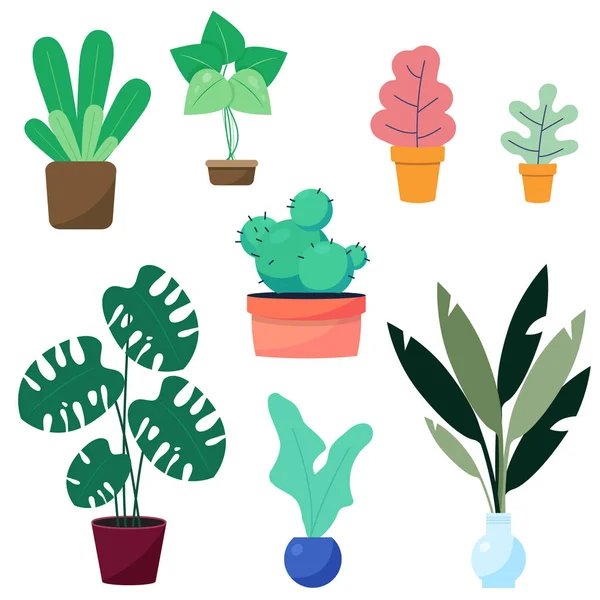 Plantas Oficina Ilustración Vectorial Planta Maceta — Vector de stock