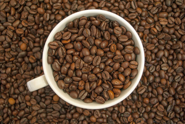 Cup filled with coffee beans on a coffee background