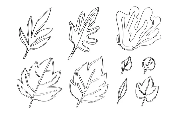 Hand Drawn Doodle Leaves Isolated White Background — Stock Photo, Image