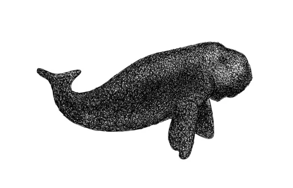 Dugong Doodle Line Estilo Dot Art — Fotografia de Stock