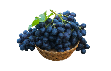 Beyaz arka planda sepette bir demet siyah üzüm.