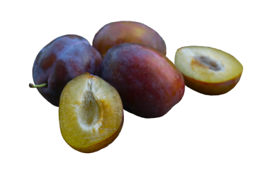 Büyük kırmızı olgun bir erik beyaz bir zeminde duruyor.