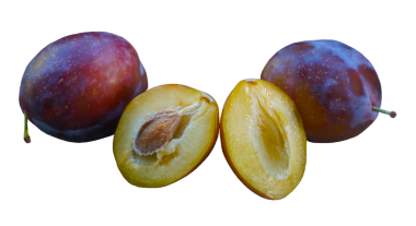 Büyük kırmızı olgun bir erik beyaz bir zeminde duruyor.