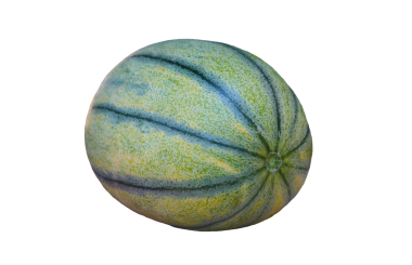 Yuvarlak yeşil bir kavun beyaz arka planda durur.