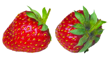 Beyaz arka planda bir sürü çilek var..