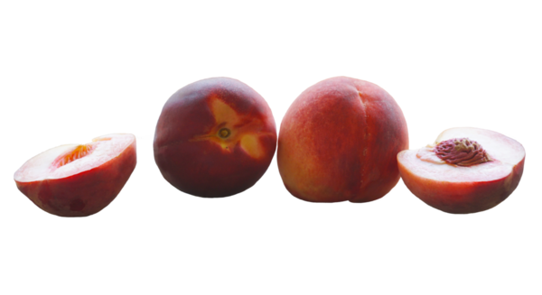 Beyaz arka planda kırmızı şeftaliler, bir tanesi parçalara ayrılmış..