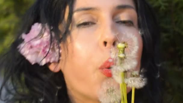 Beautiful Young Charming Woman Blows Dandelion Scatters His Seed Shot — Stock Video