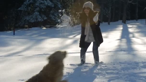 Молодая Женщина Играет Снегу Собакой Солнечный День — стоковое видео