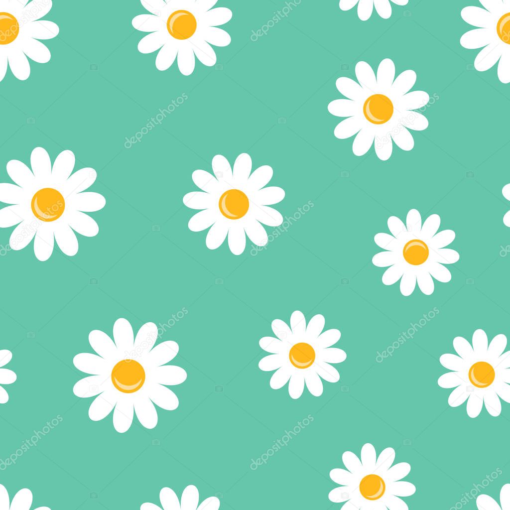 Chamomile flower icon seamless pattern background. Business concept vector illustration. Daisy camomile symbol pattern.