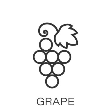 Üzüm meyveleri düz tarzda işareti simgesi. Grapevine vector ıllustrat