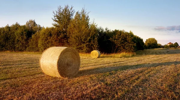 Beautiful Countryside Landscape Image Hay Bales Summer Field Haystacks Harvest — Stock Photo, Image