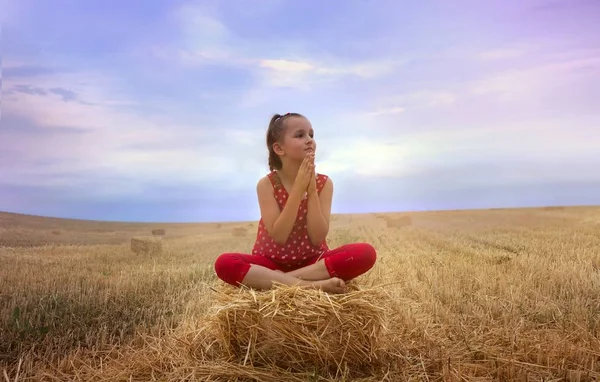 Girl prays in evening wheat field . Little Girl praying . Conversation good luck