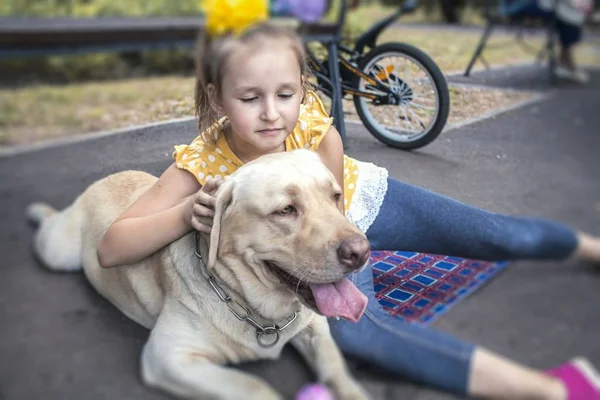 Big white dog lying down . look of a dog .  Labrador head . Little girl with her dog .  energy of friendship of children and dogs . the happy childhood with animals  . to love animals