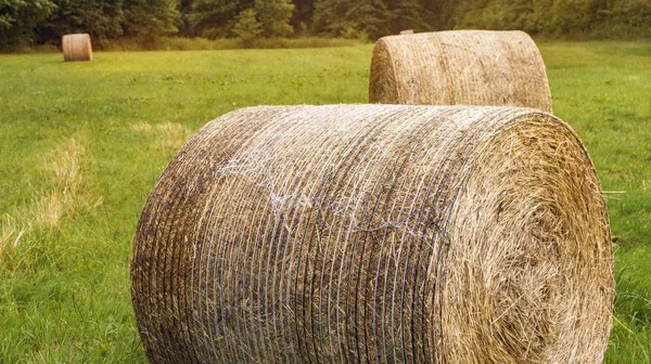 Beautiful Countryside Landscape Image Hay Bales Summer Field Haystacks Harvest — Stock Photo, Image