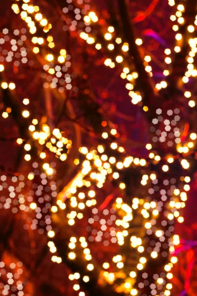 Illumination Park Christmas Trees Lights Sunset Lighting Night City — Stock Photo, Image