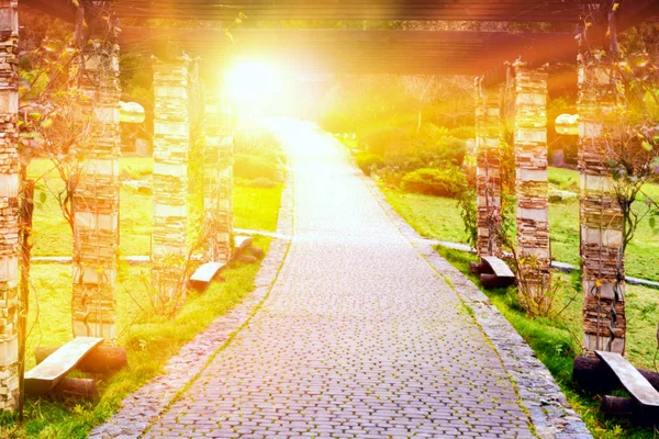 Light from sky . Steps leading up to the sun . Way to God . Religious background . Beautiful sky . Sunrise . Magic light and walkway in park