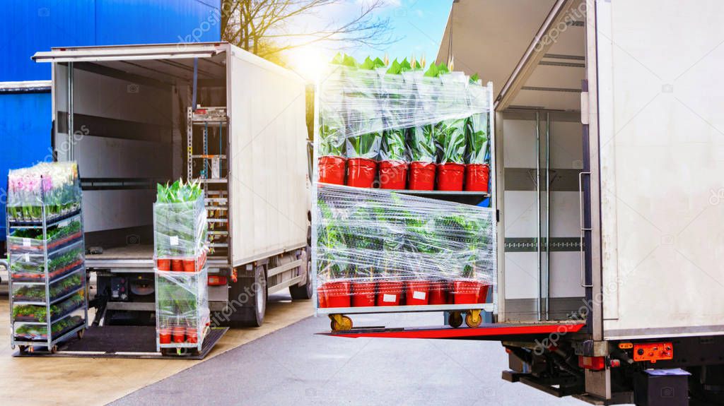 Open delivery truck loaded with pot plants pallets . There is a loading to the truck trailer . transportation of freight Europe . 