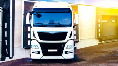 Kamyon yolda. Ticari taşıma. Konteyner-kamyon taşıma