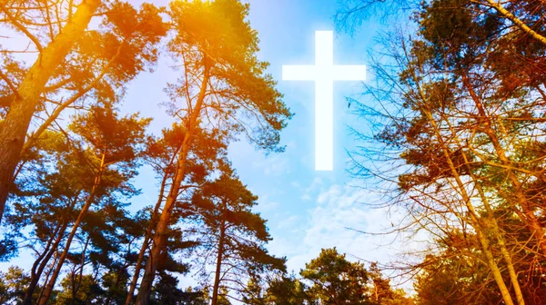 Heavenly Cross . Religion symbol shape .  Dramatic nature background  . Glowing cross in sky . Happy Easter. Light from sky . Religion background .  Paradise heaven . Light in sky .