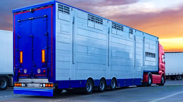 Een Trailer Dierentransport Speciale Truck Trailer Voor Het Vervoer Van — Stockfoto