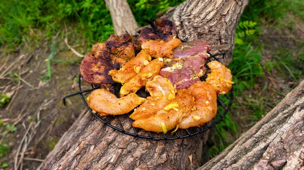 Assorted Delicious Grilled Meat Barbecue Selective Focus Juicy Tasty Steaks — Stock Photo, Image