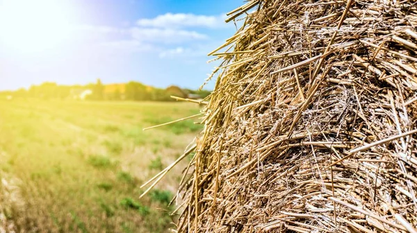 Straw Bales Field Summer Landscape — Stock Photo, Image