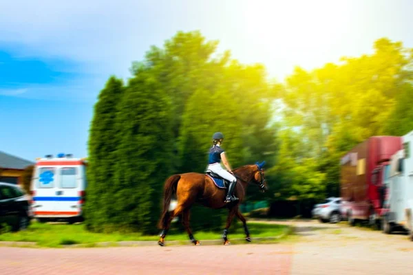 Flicka Outfit Ridning Häst Studier Ridning — Stockfoto