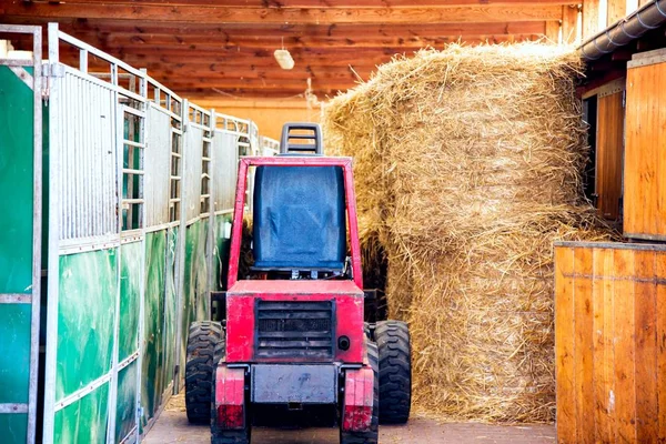 Straw in the stables. Tractor on the farm. Clean and warm stables