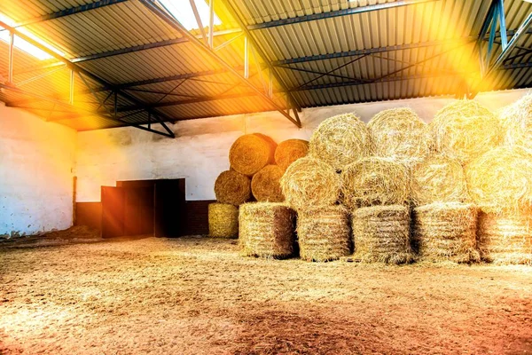 Straw Stables Neatly Folded Natural Food Animals — Stock Photo, Image