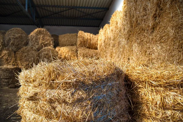 Straw Stables Neatly Folded Natural Food Animals — Stock Photo, Image