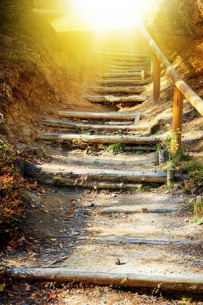 Walk into light  .  Stairs in autumn park .  Way to heaven . Stairs in sky . Religion for the person . Religious background . Way to success