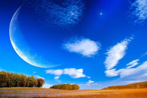 Bloemen Velden Prachtig Zomers Landschap Crescent Maan Met Prachtige Zonsondergang — Stockfoto