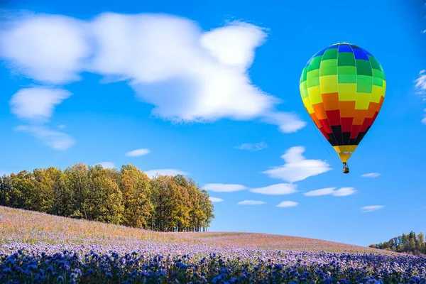 Πολύχρωμα Αερόστατα Θερμού Αέρα Κοιτάξουμε Στον Πάτο Μπαλόνι Περιπέτεια Πεδίο — Φωτογραφία Αρχείου
