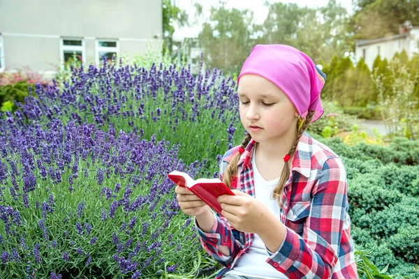 Menina Livro Orações Lado Arbusto Lavanda — Fotografia de Stock