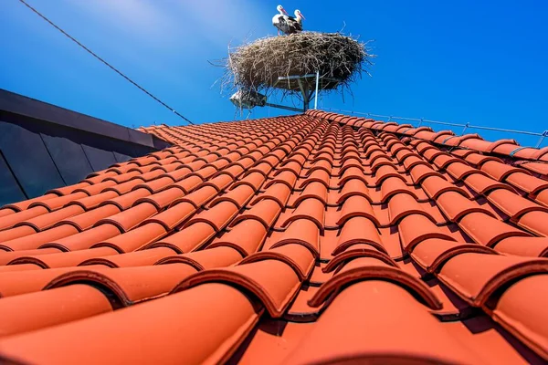 Red roof of a detached house. Storks took root on the tiles of the cottage