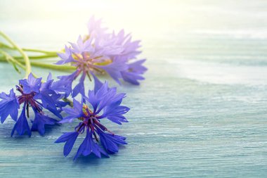 Bir buket yabani çiçekle, mavi çiçeklerle dolu bir hayat.