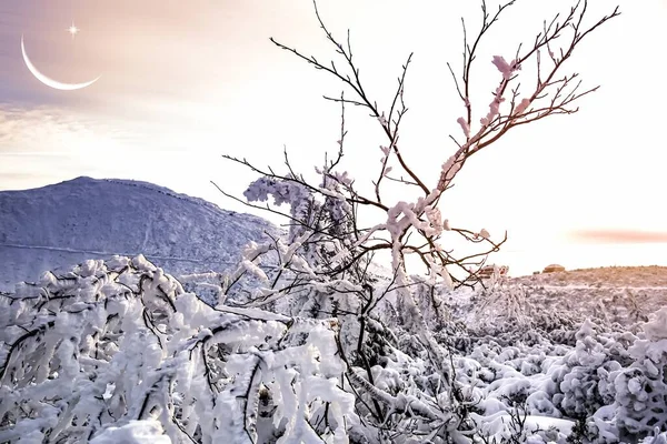 Landsbygdslandskap Vid Solnedgången Ung Månad Molnen — Stockfoto