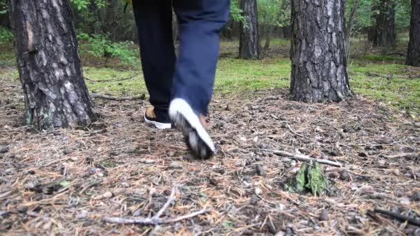 Ben Brune Støvler Baggrund Efterårsskoven Vandreture Fødder Støvler Vandreture Skoven – Stock-video