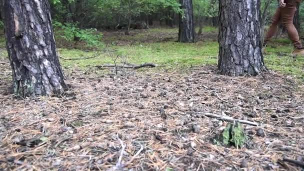 Bruna Stövlar Flickans Fötter Steg Löv Skogen Fötter Stövlar Vandring — Stockvideo