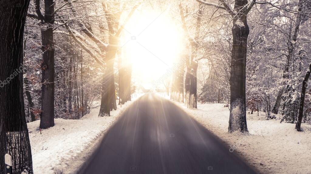 road by sunlight through tunnel trees, winter landscape
