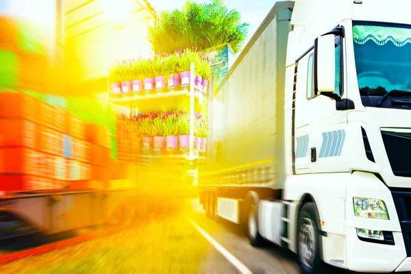 Transport Commercial Camion Conteneur De Transport Camion De Livraison Ouvert Charge De Palettes De Plantes En Transport Commercial Camion Conteneur De Transport Camion De Livraison Ouvert Charge De Palettes De Plantes En