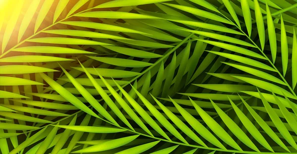 Реалистичное Пальмовое Дерево Фон Солнечным Лучом — стоковый вектор
