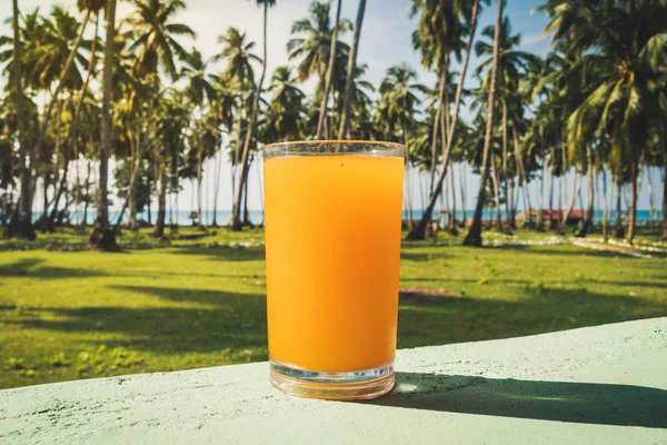 Abrikoos Koude Cocktail Tafel Met Beach Achtergrond Zomer Concept Vers — Stockfoto